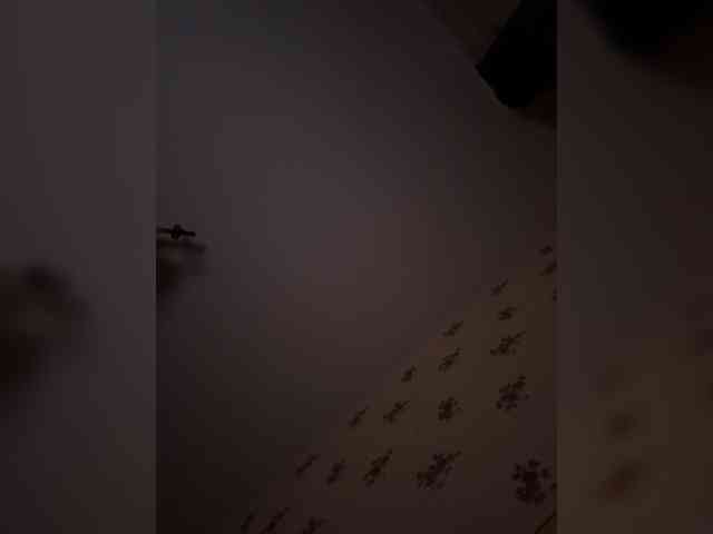 Rinaaamur webcam
