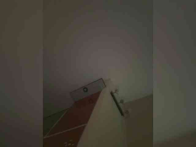 Rinaaamur Rinaaamur