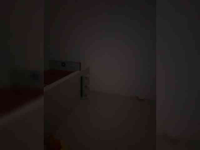 Rinaaamur webcam