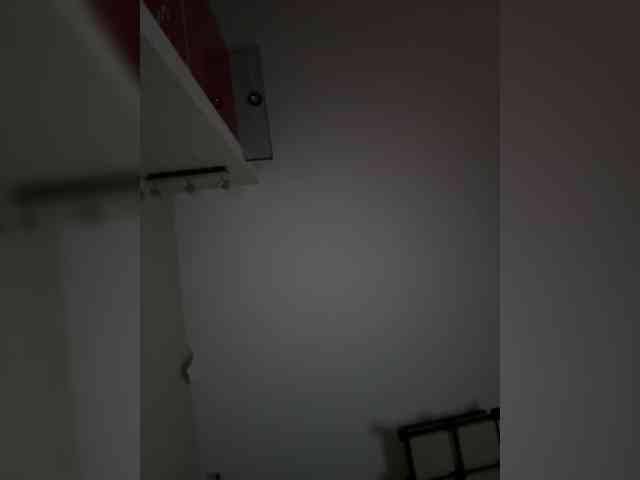 Rinaaamur webcam