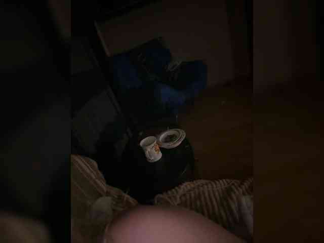 Rinaaamur webcam