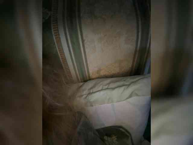 Rinaaamur webcam