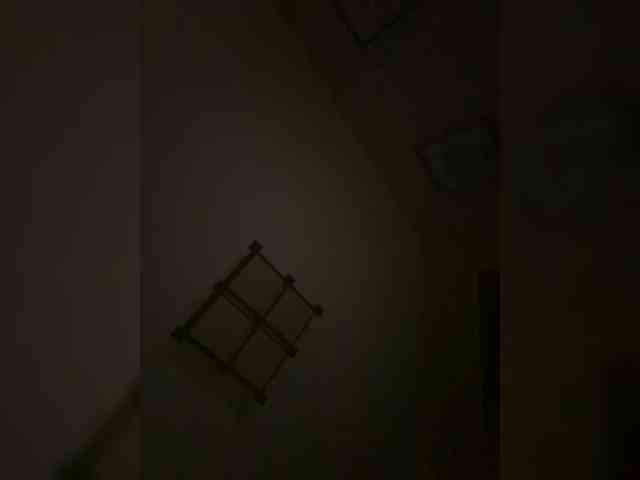 Rinaaamur webcam
