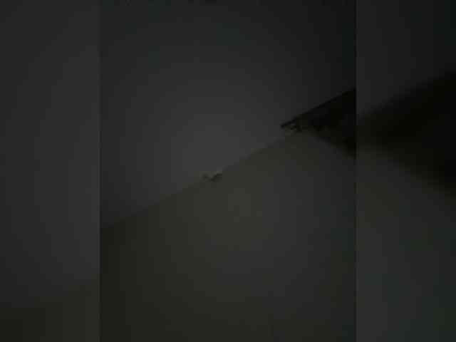 Rinaaamur webcam