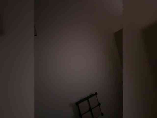 Rinaaamur webcam