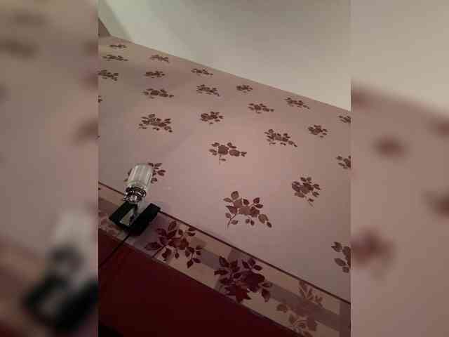 Rinaaamur webcam