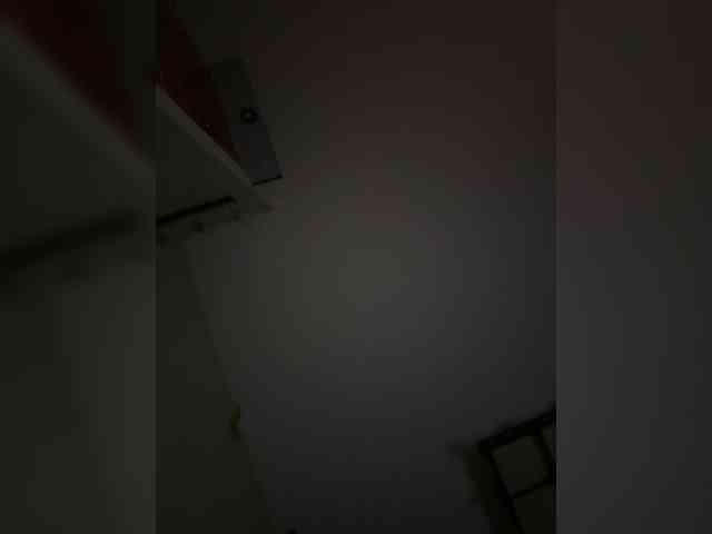 Rinaaamur webcam