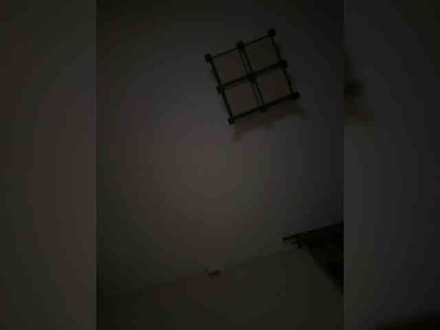 Rinaaamur webcam