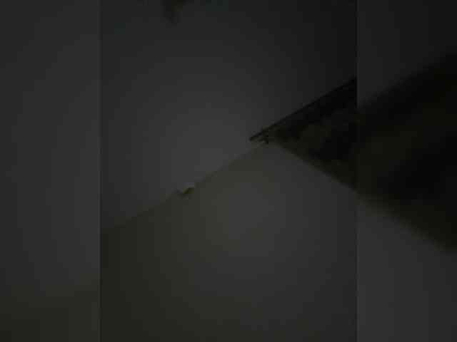 Rinaaamur webcam