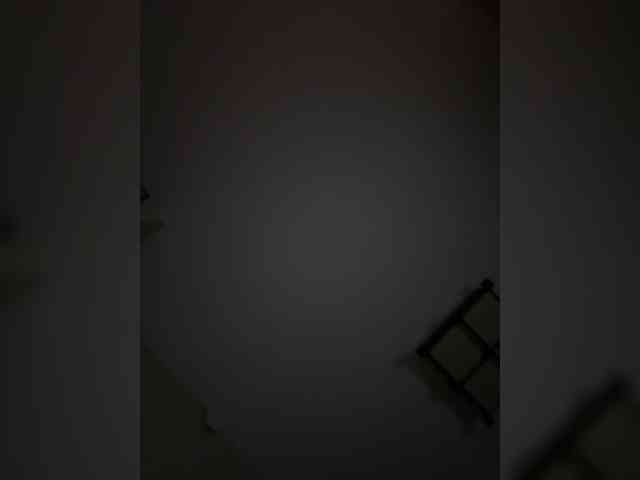 Rinaaamur webcam
