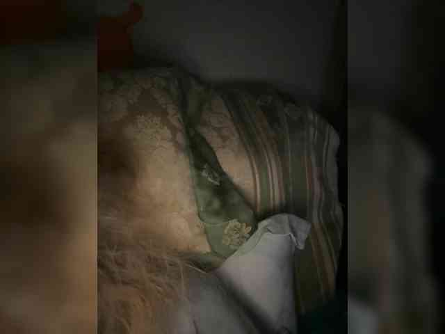 Rinaaamur webcam