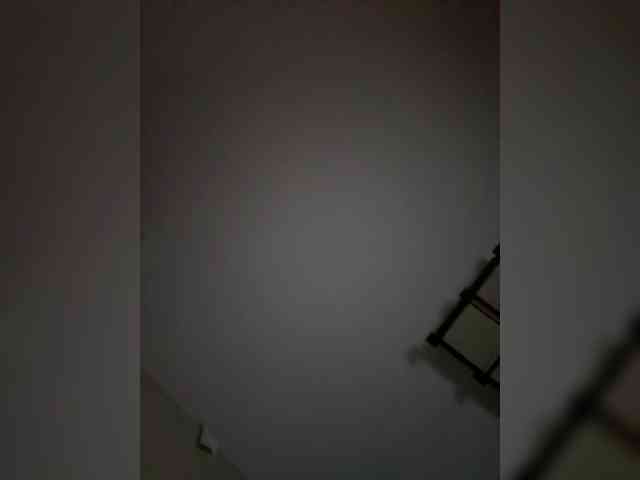 Rinaaamur webcam