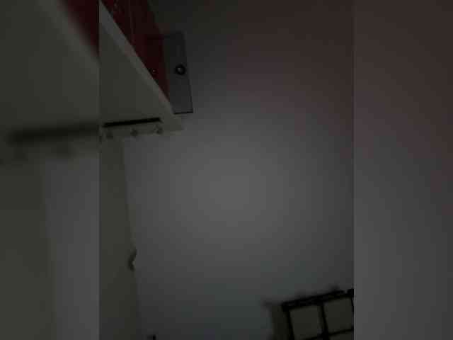 Rinaaamur webcam