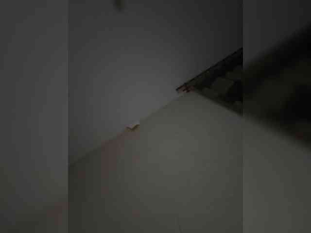 Rinaaamur webcam