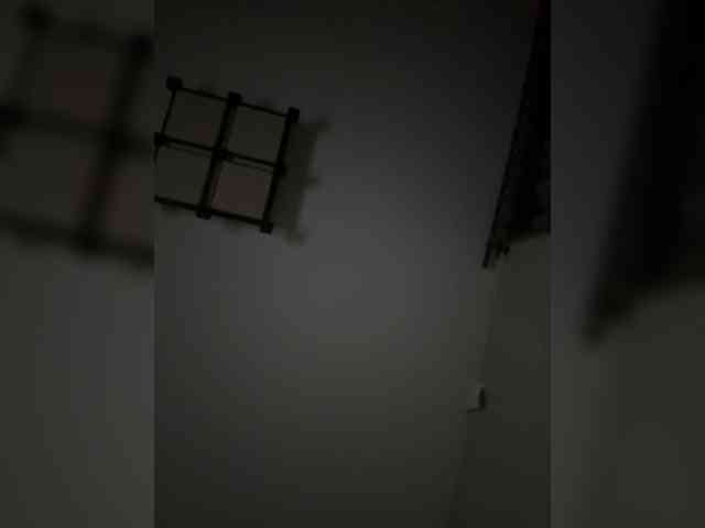 Rinaaamur webcam