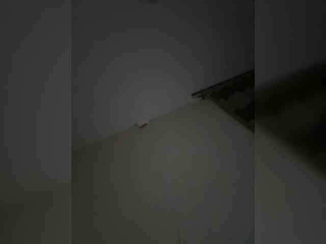 Rinaaamur webcam