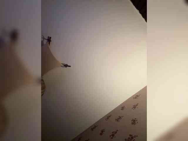 Rinaaamur webcam