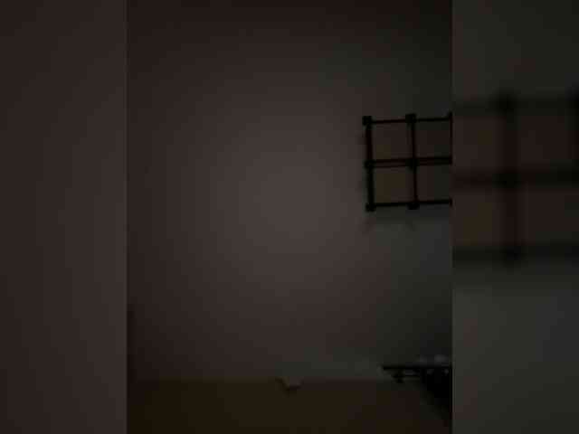 Rinaaamur webcam