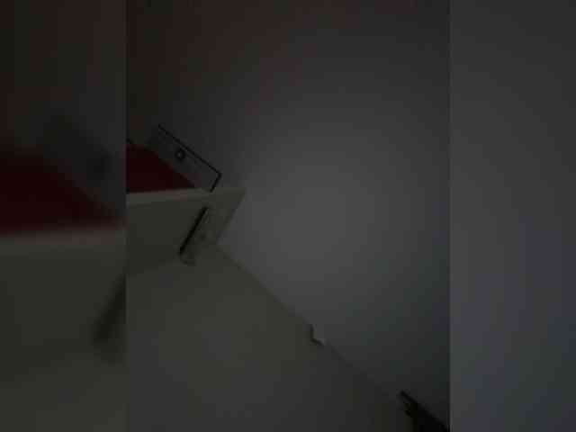 Rinaaamur webcam