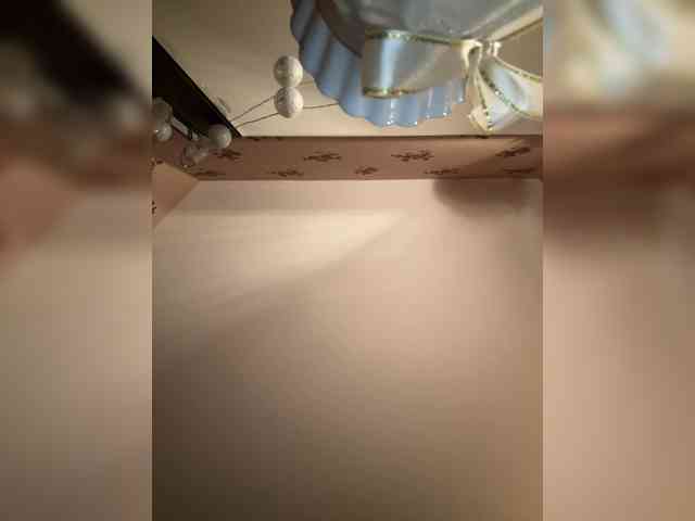 Rinaaamur webcam