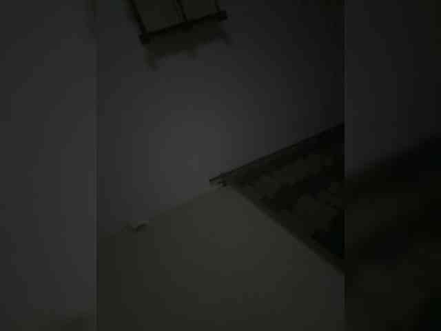 Rinaaamur webcam