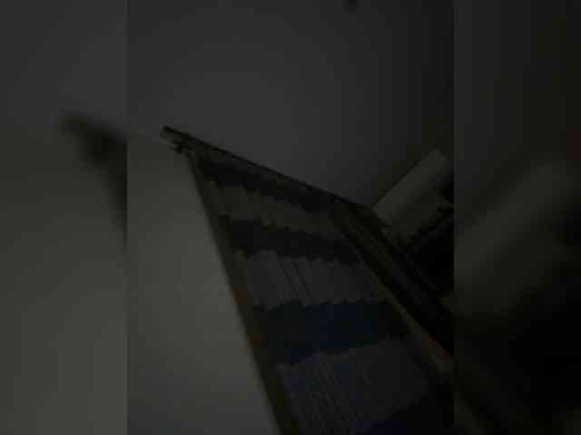 Rinaaamur webcam