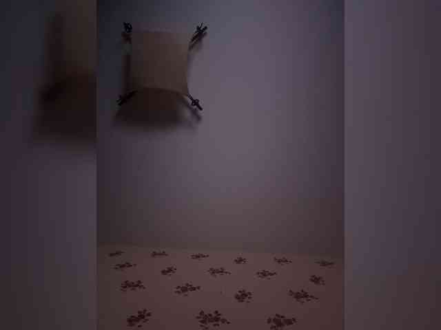 Rinaaamur webcam