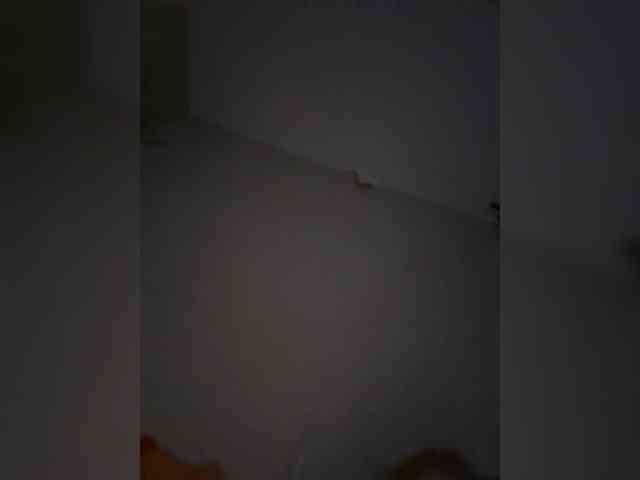 Rinaaamur webcam