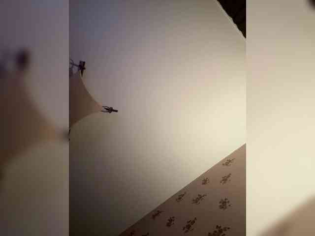 Rinaaamur webcam