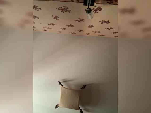 Rinaaamur webcam