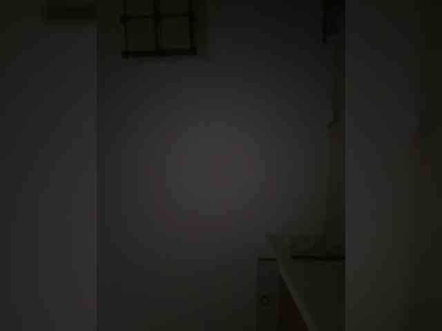 Rinaaamur webcam