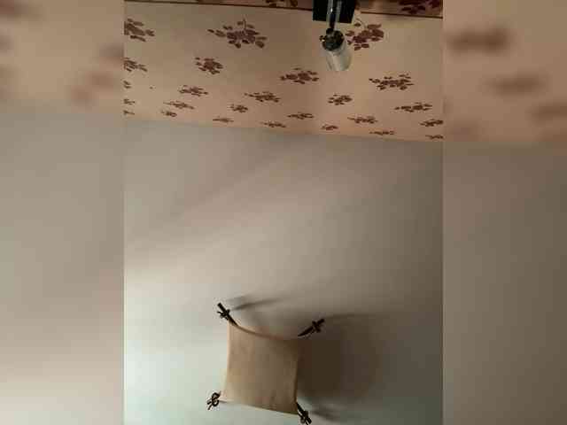 Rinaaamur webcam