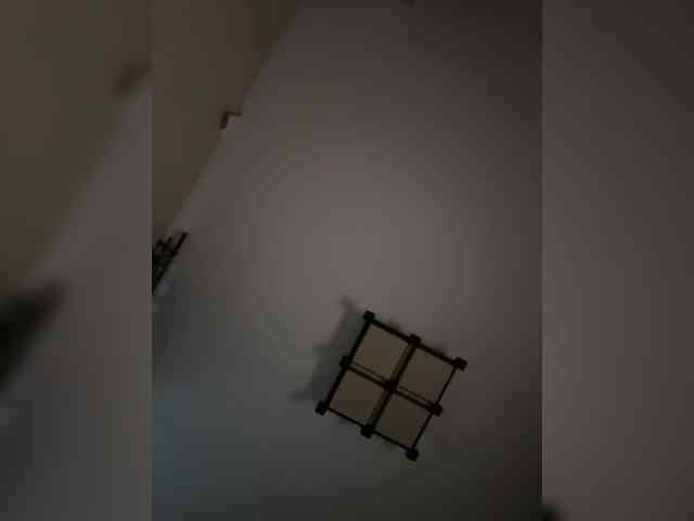 Rinaaamur webcam