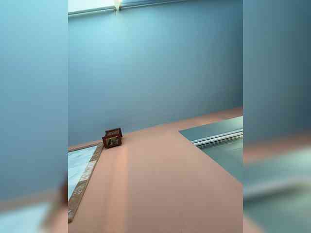 Rinaaamur webcam