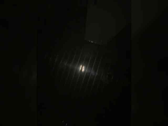 Rinaaamur webcam