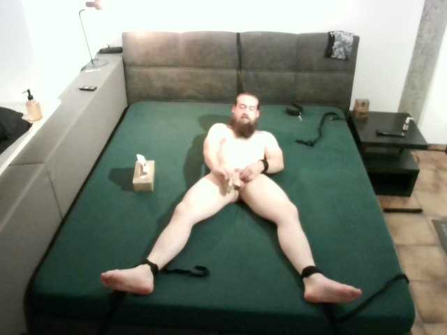 bavarianviking1