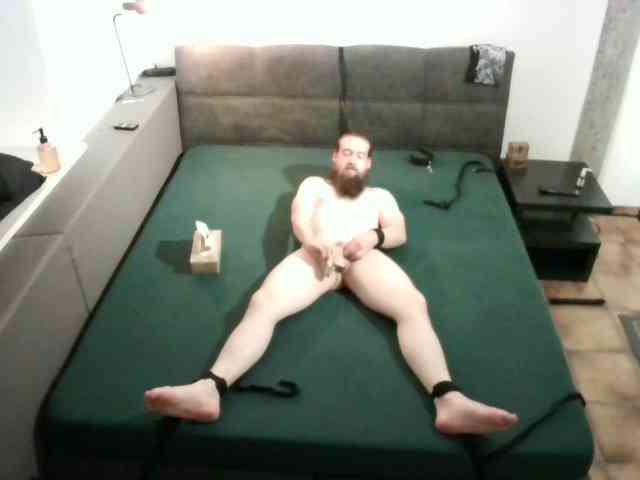 bavarianviking1 Live Webcam on BongaCams
