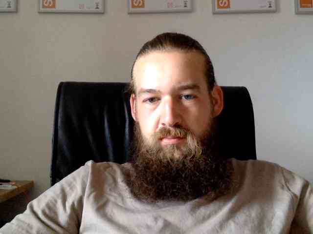 bavarianviking1