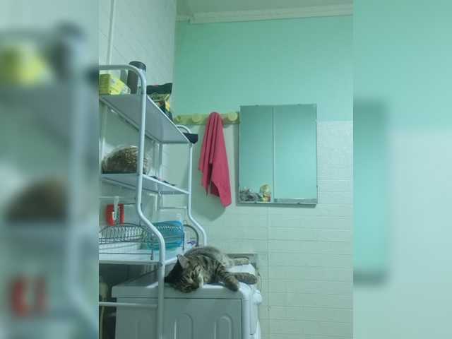 -kisulay- live cam on BongaCams