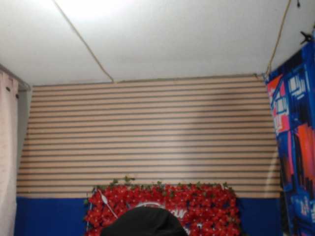 rosse2504