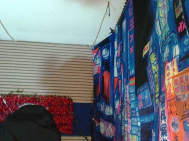 rosse2504