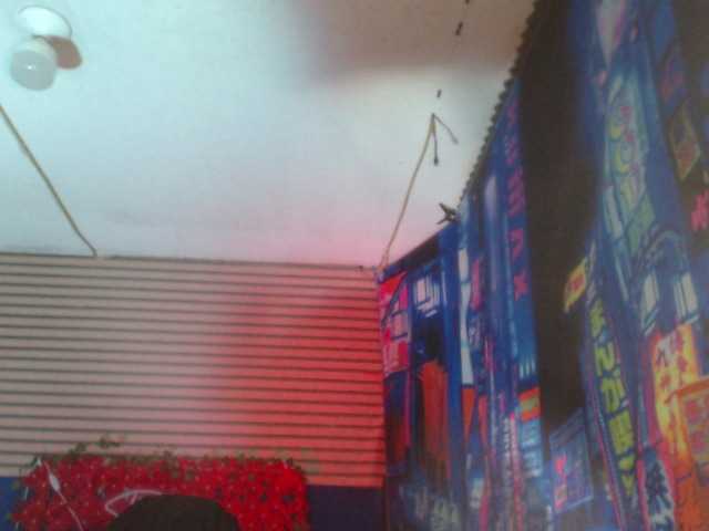 rosse2504 live cam on BongaCams