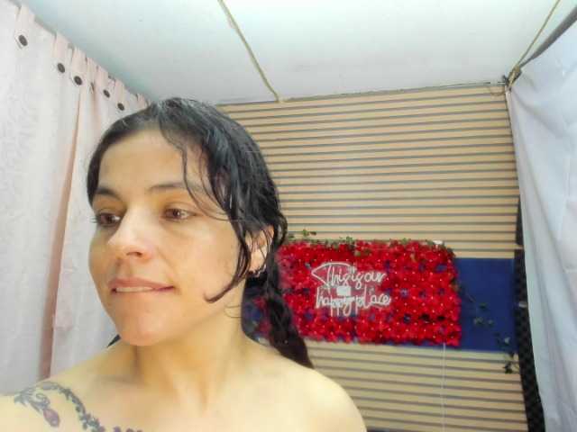 rosse2504