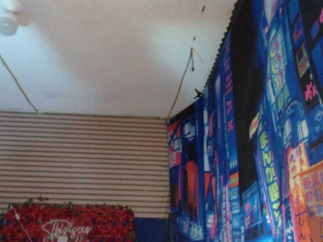 rosse2504