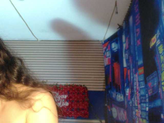 rosse2504