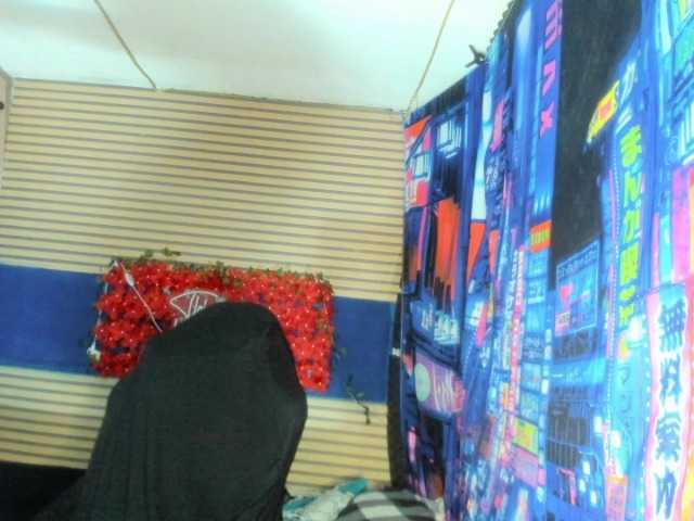 rosse2504