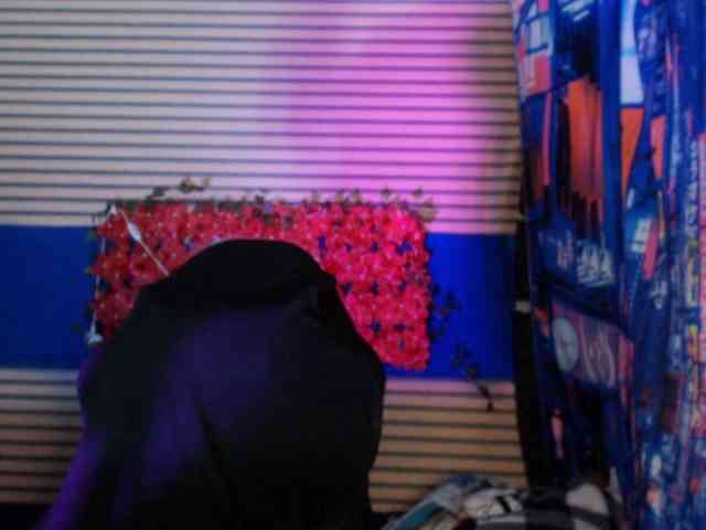 Model: rosse2504