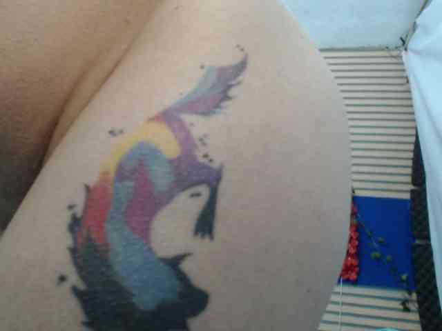 rosse2504 webcam