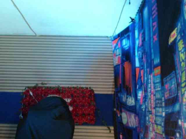 rosse2504