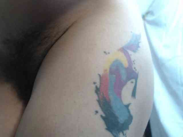 rosse2504 webcam